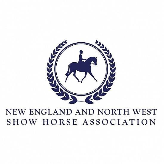 NSW Regional Show Horse Championships 2023