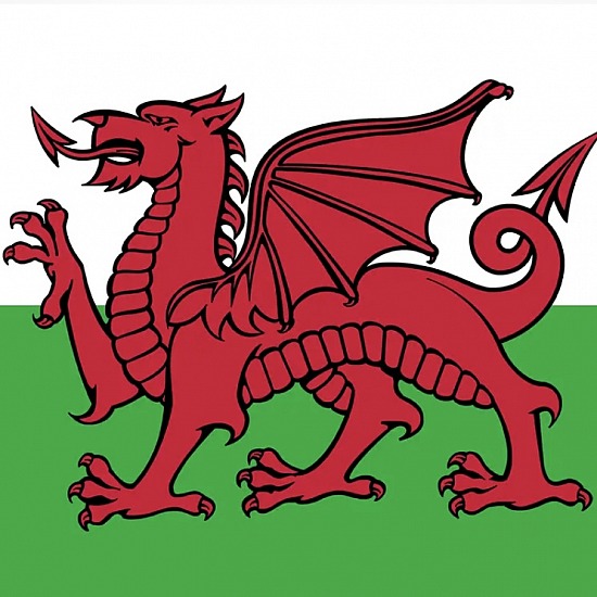 NSW All Welsh 2024