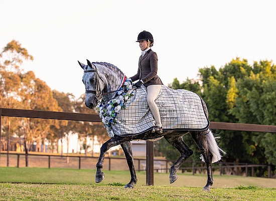 ENSW Horse of the Year 2026
