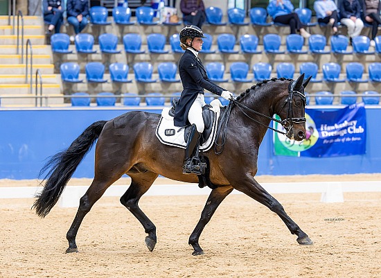 Hawkesbury Dressage Festival 2026